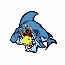 Match Point Sharks